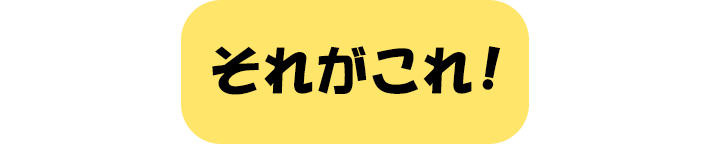 それがこれ！